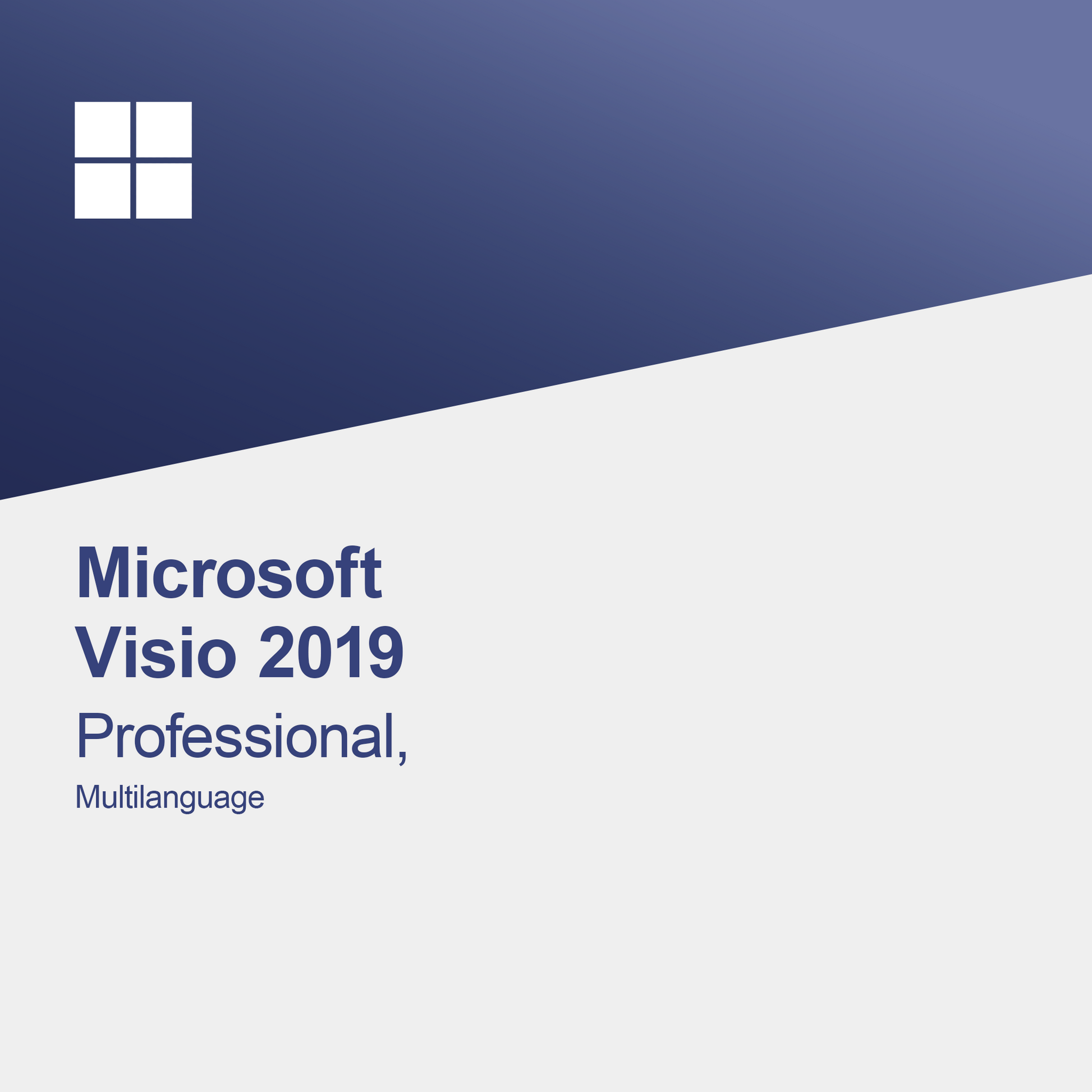 Microsoft Visio 2019 Professional Multilanguage