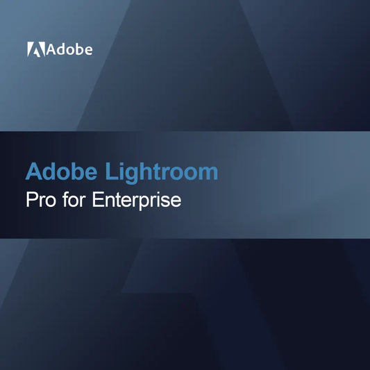 Adobe Lightroom - Pro voor Enterprise